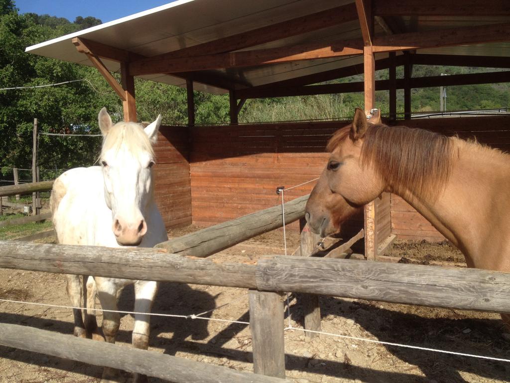 Отель Il Piccolo Ranch Черво Экстерьер фото