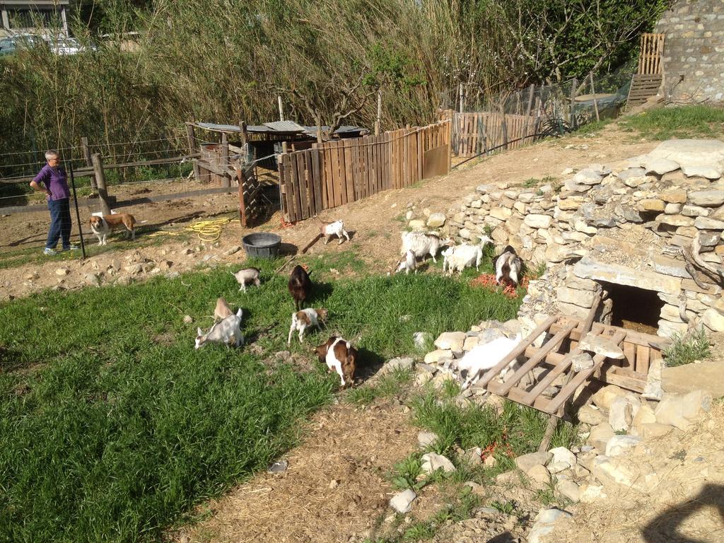 Отель Il Piccolo Ranch Черво Экстерьер фото
