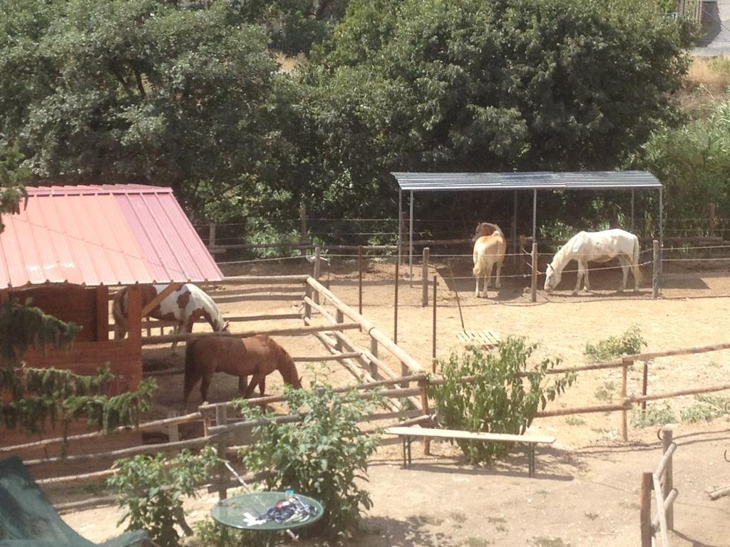 Отель Il Piccolo Ranch Черво Экстерьер фото