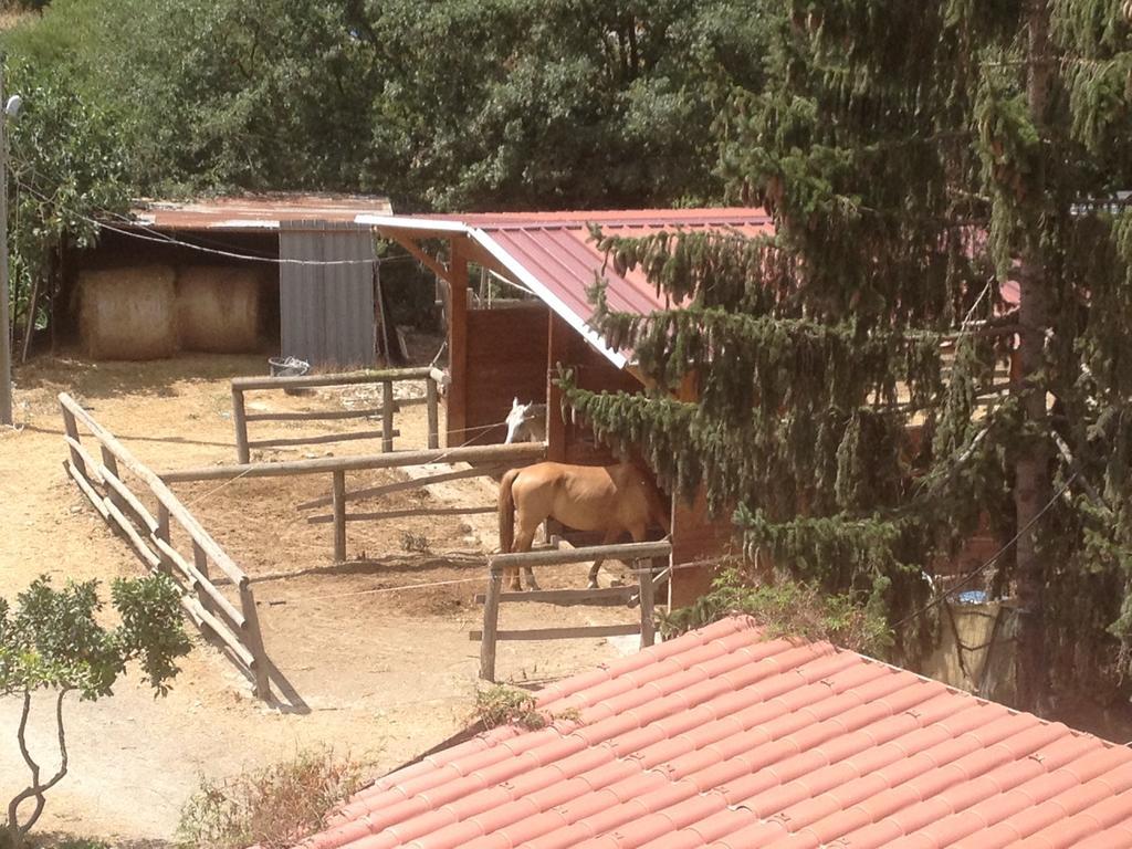 Отель Il Piccolo Ranch Черво Экстерьер фото