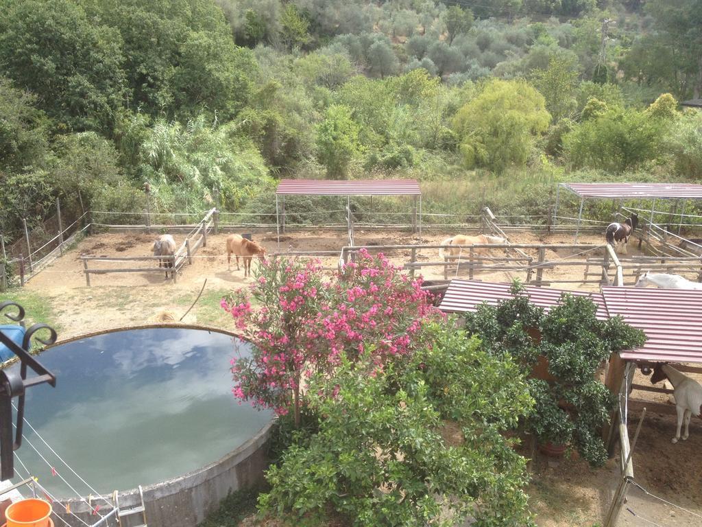 Отель Il Piccolo Ranch Черво Экстерьер фото