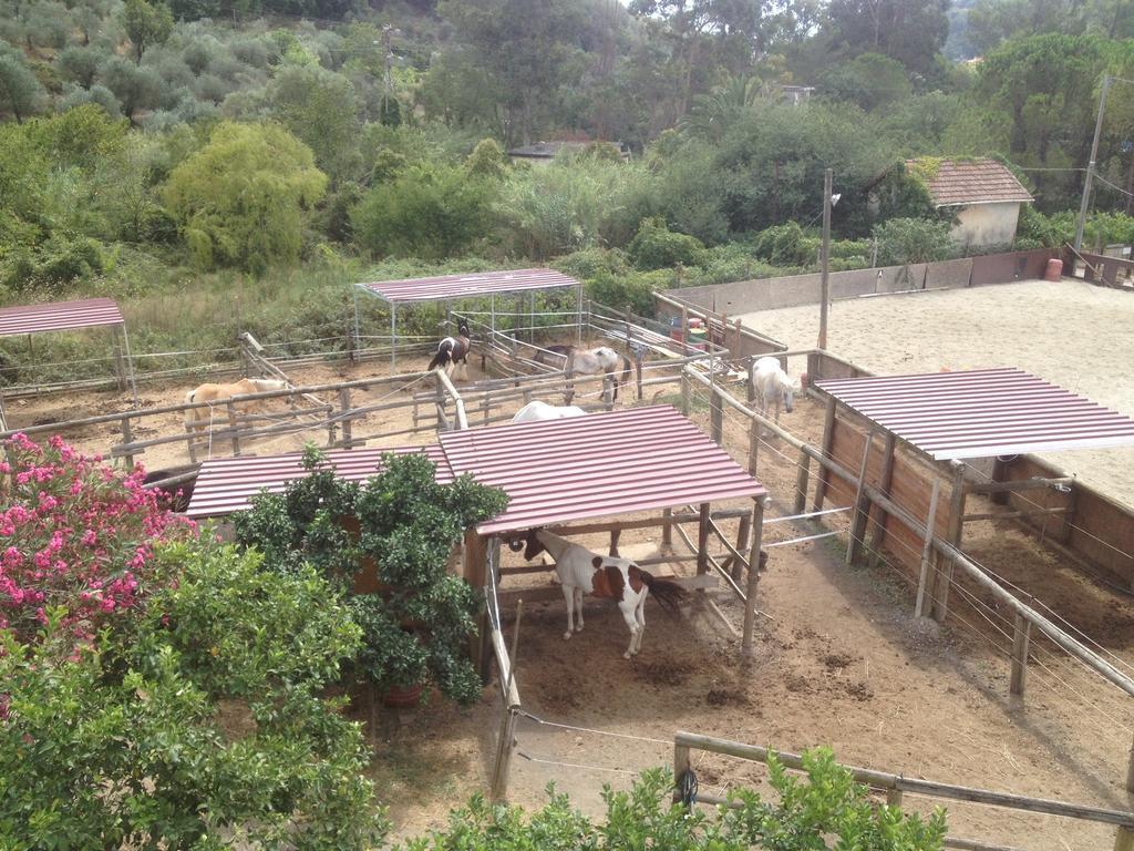 Отель Il Piccolo Ranch Черво Экстерьер фото